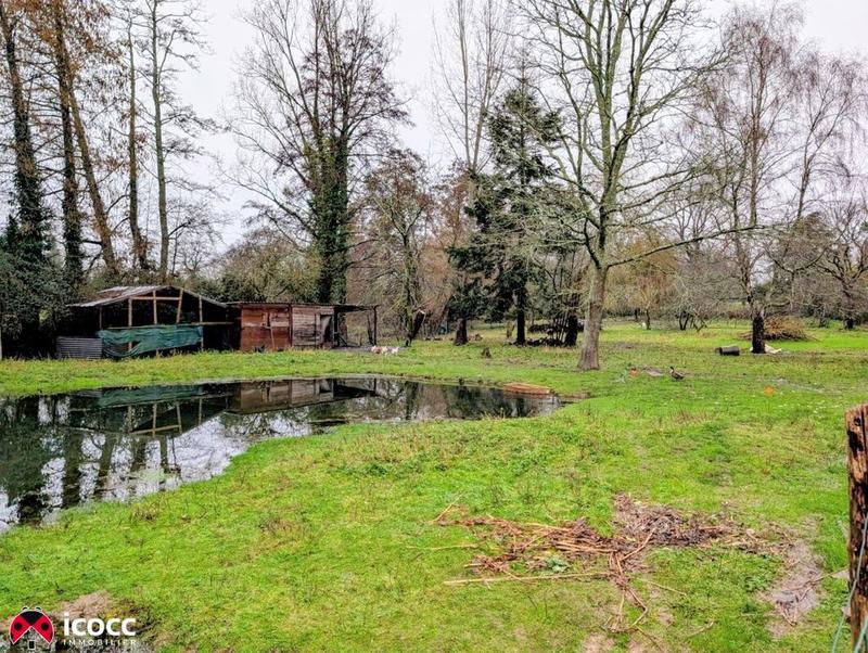 Maison chambre d'hôtes - 221 m² - 8 pièces