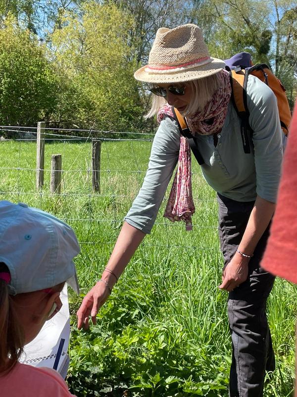 Sortie découverte des plantes sauvages comestibles à Cerny