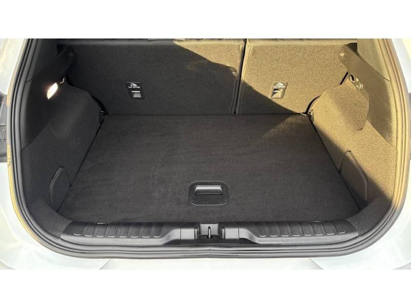 Ford Puma 1.0 EcoBoost 125 ch mHEV s&amp;S Bvm6 Titanium Business