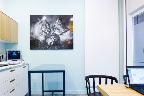 Clinique vétérinaire Vet'16