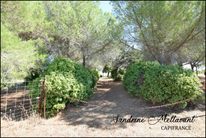 Terrain de loisirs - 9 730 m²