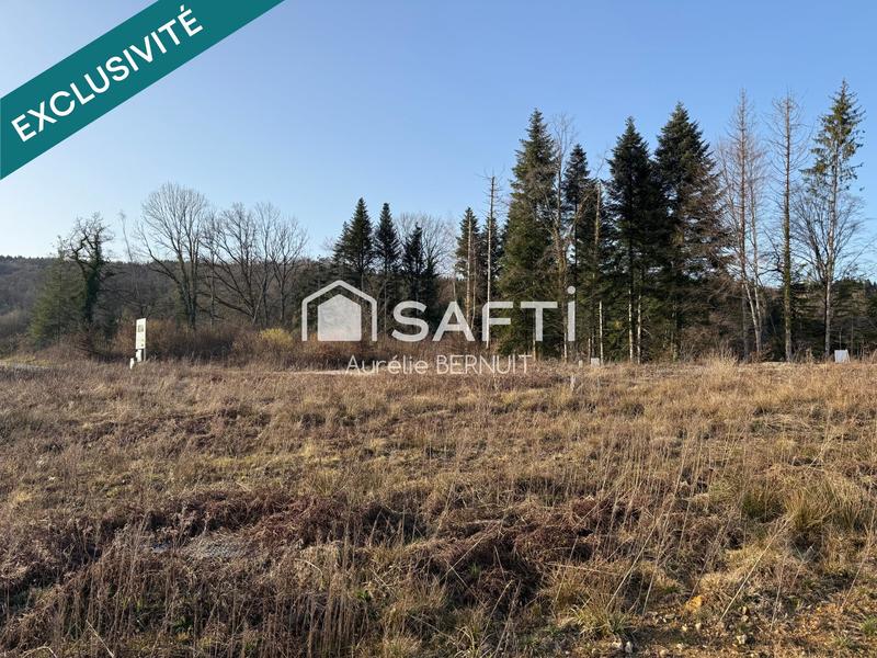 Terrain - 765 m²