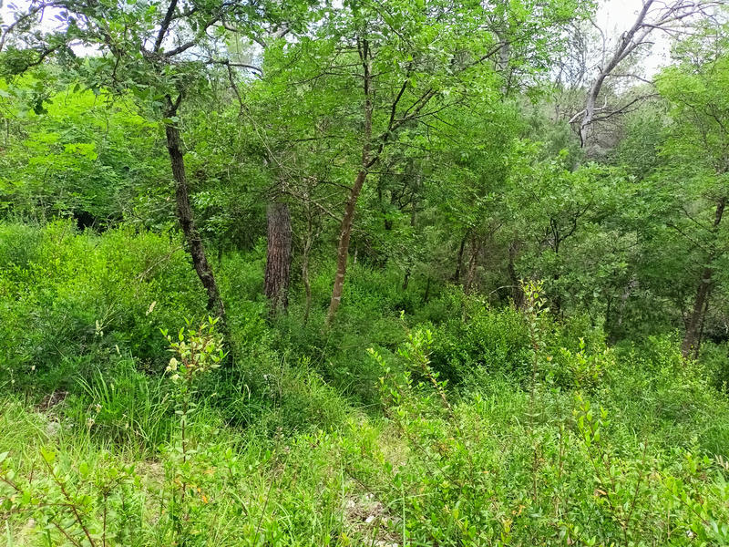 Terrain agricole - 12 120 m²