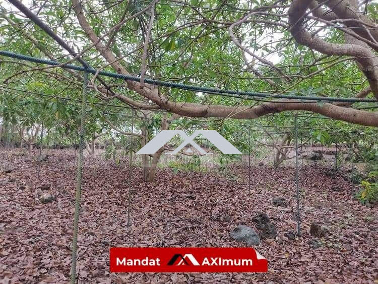 Châlet - 140 m² - 6 pièces