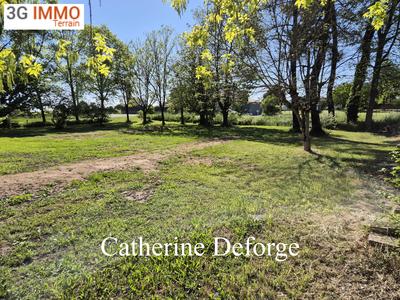 Terrain constructible - 1 360 m²