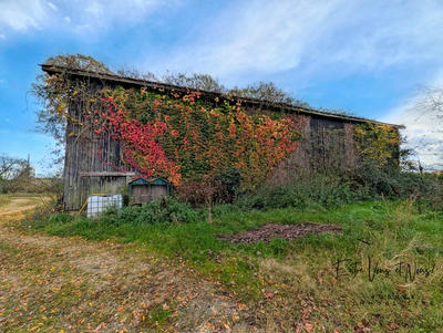 Maison - 162 m² - 4 pièces