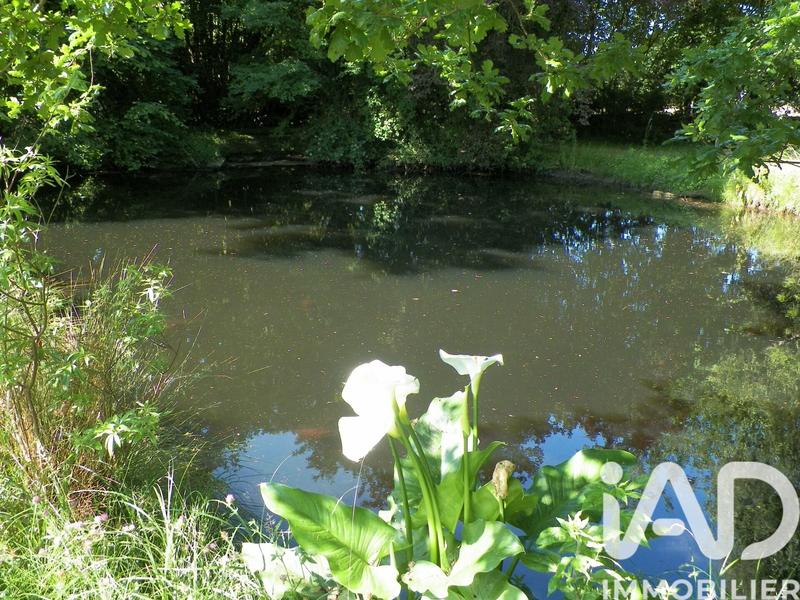 Maison de maîtres - 230 m² - 8 pièces