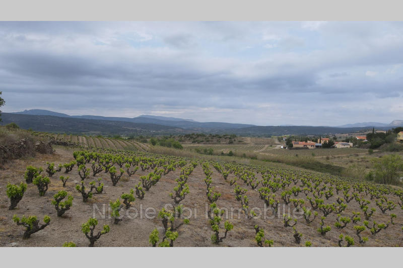 Terrain agricole - 20 250 m²