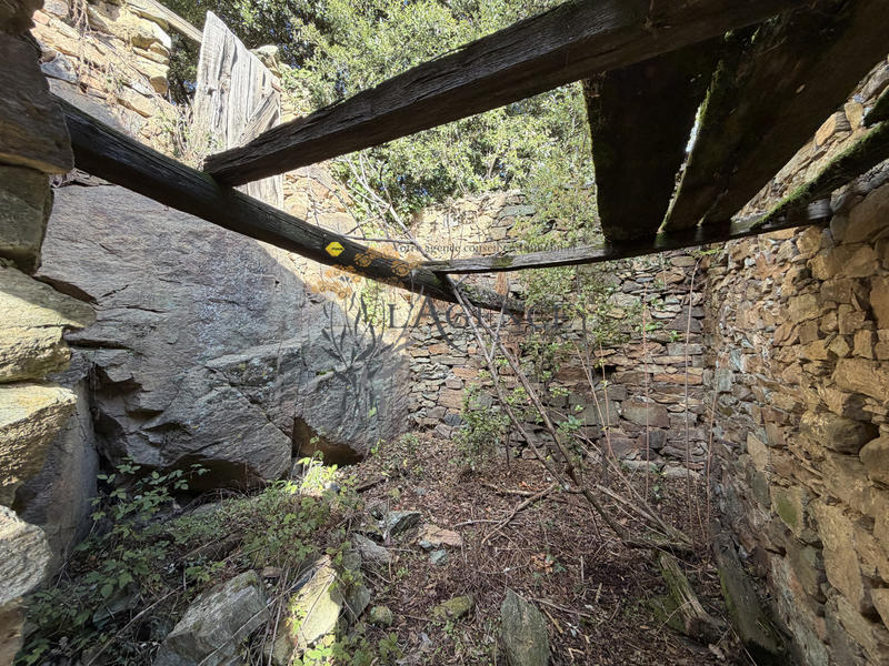 Maison - 25 m² - 1 pièce