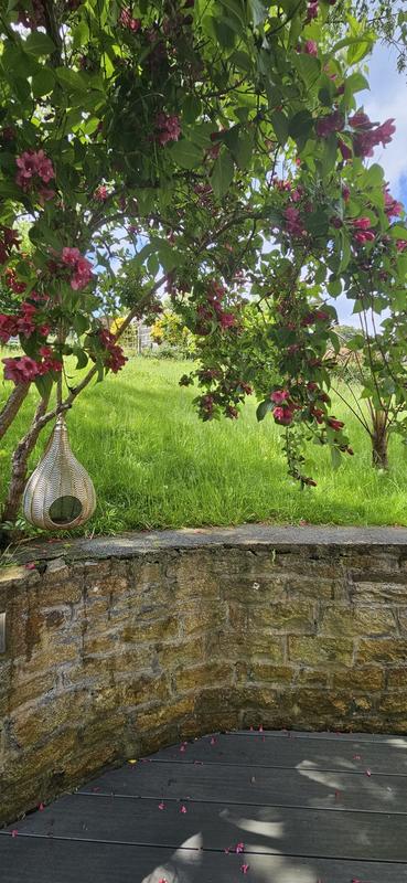 Maison - 174 m² - 7 pièces