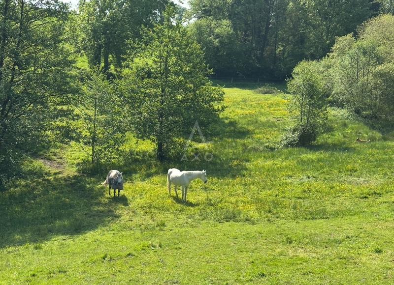 Haras - 130 m² - 5 pièces