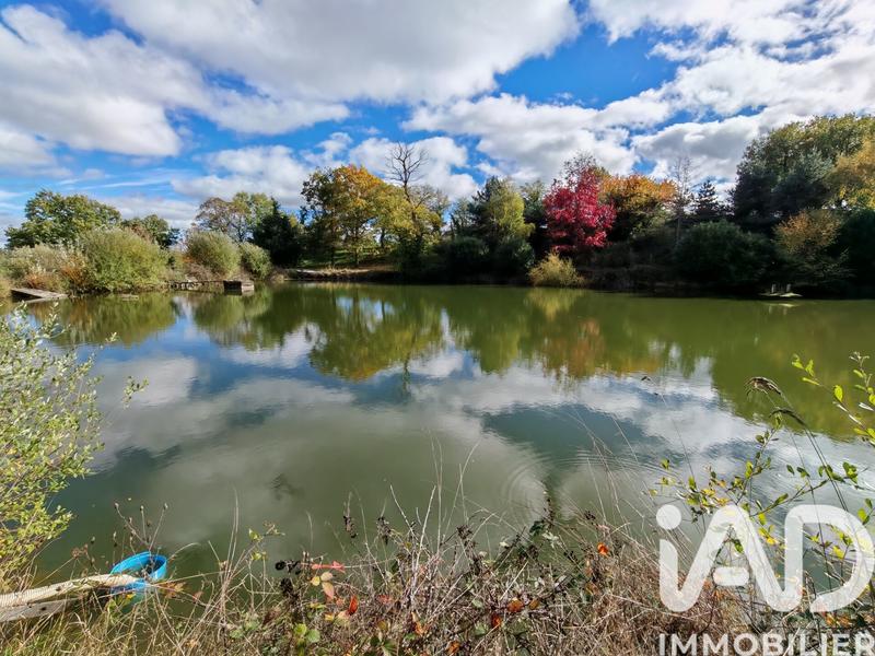 Terrain - 113 246 m²