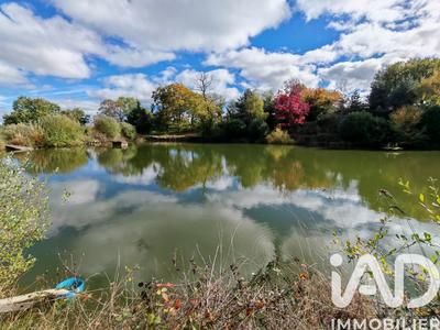 Terrain - 113 246 m²