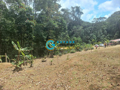 Terrain agricole - 9 844 m²