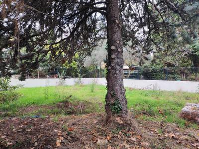 Terrain constructible - 813 m²