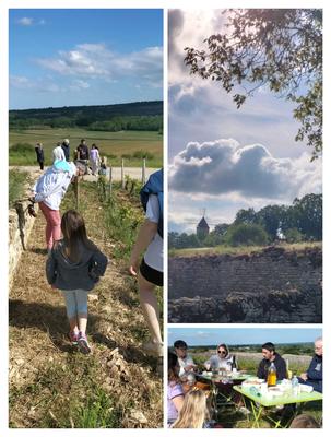 Sur les Pas du Vigneron