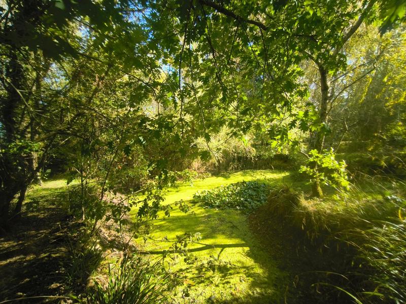 Maison - 243 m² - 10 pièces