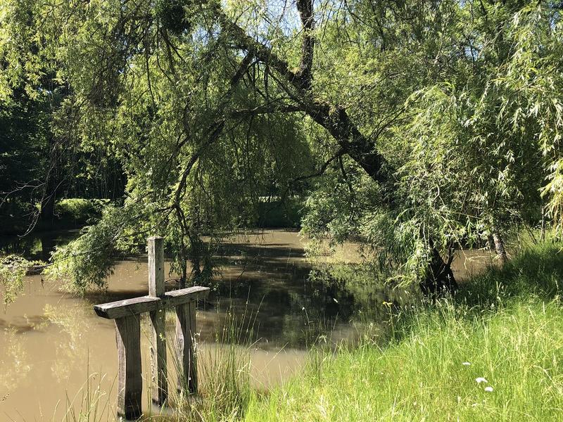 Journée des zones humides