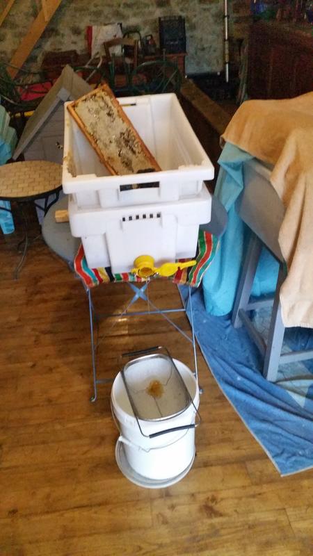 Melissa Miel, visite gratuite chez un apiculteur