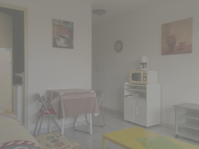 Appartement - 19 m² - 1 pièce