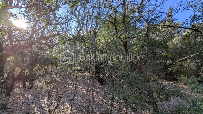 Maison - 128 m² - 5 pièces