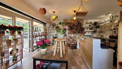 Magasins - 35 m² - 1 pièce