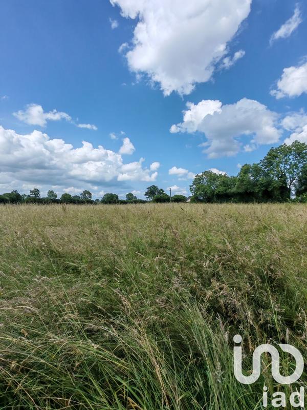 Terrain - 31 982 m²