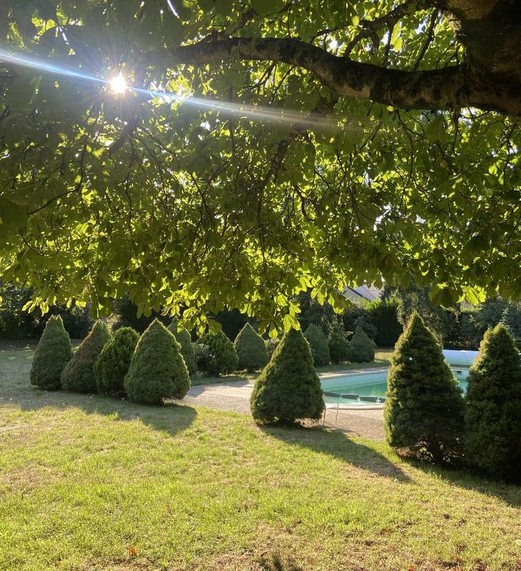 Maison de maîtres - 314 m² - 12 pièces