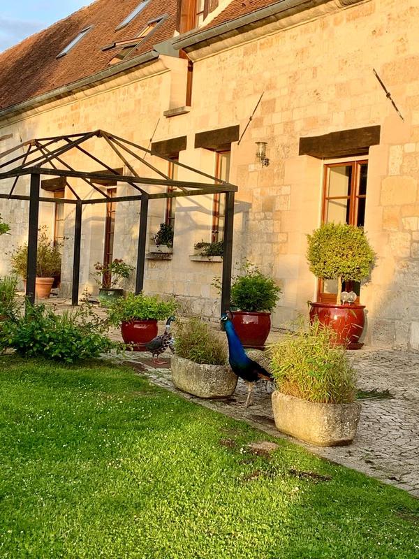 Corps de ferme - 271 m² - 8 pièces