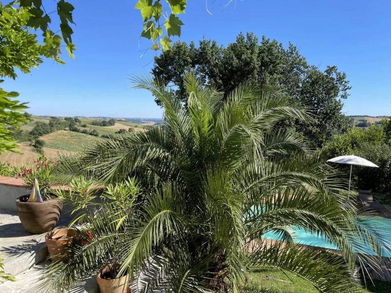 Maison en pierre - 253 m² - 9 pièces