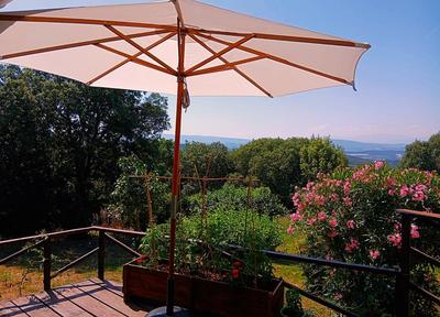 Maison de bois - 187 m² - 6 pièces