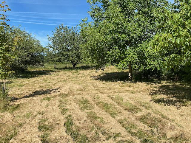 Terrain de loisirs - 4 917 m²