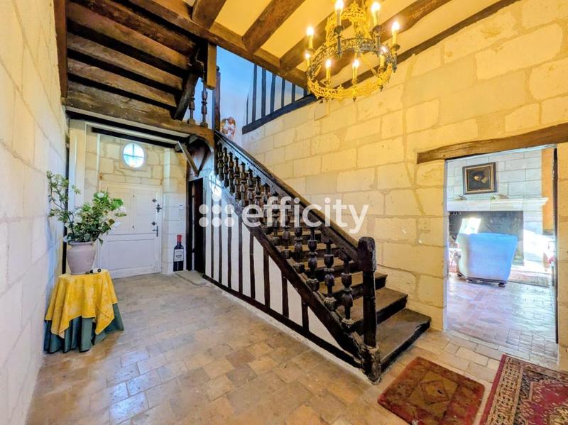 Château - 321 m² - 9 pièces