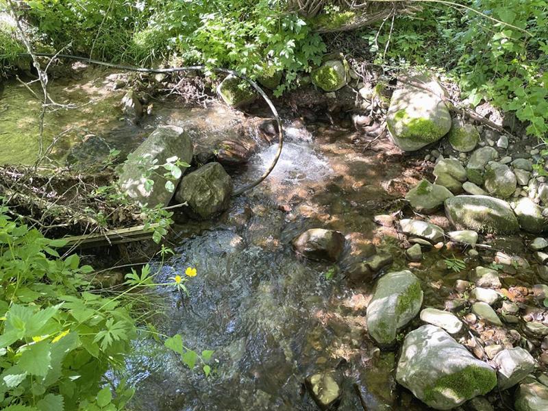 Corps de ferme - 400 m² - 5 pièces