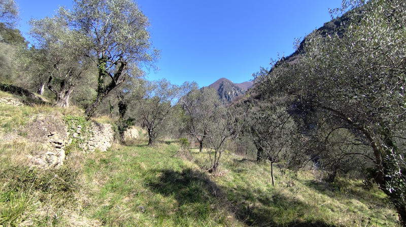 Maison - 41 m² - 3 pièces