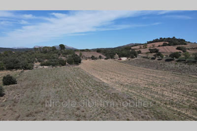 Terrain agricole - 19 998 m²
