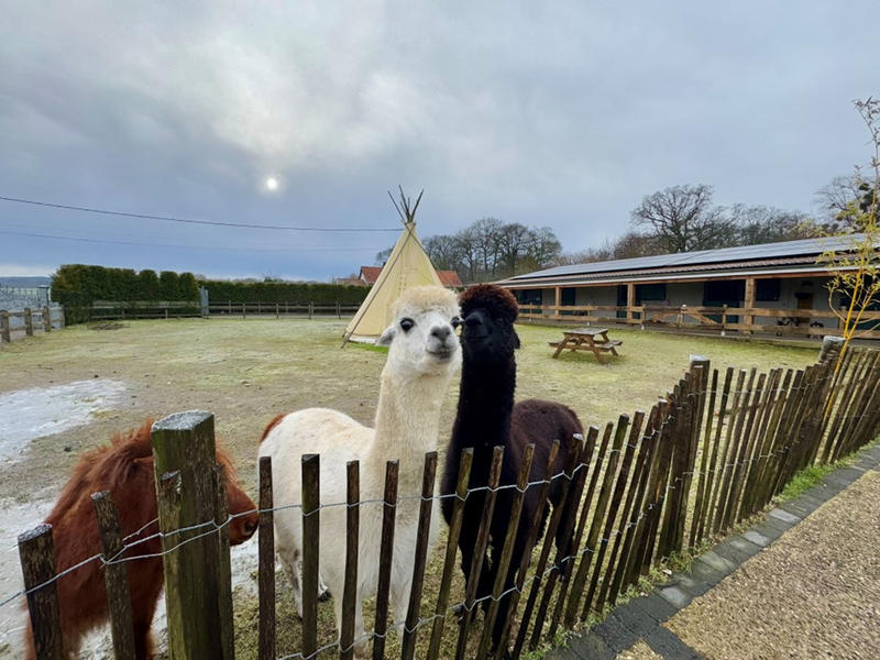 Maison - 263 m² - 8 pièces