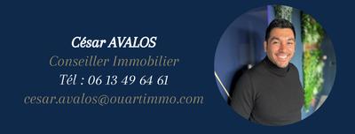 Appartement - 45 m² - 2 pièces