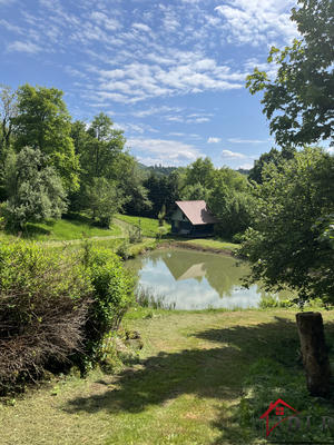 Propriété - 330 m² - 20 pièces