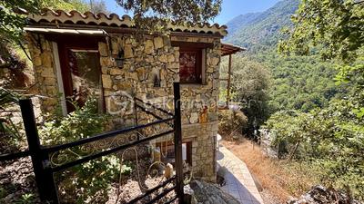 Maison en pierre - 77 m² - 3 pièces