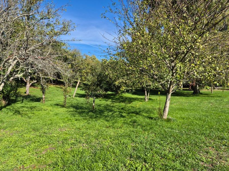 Terrain constructible - 3 000 m²