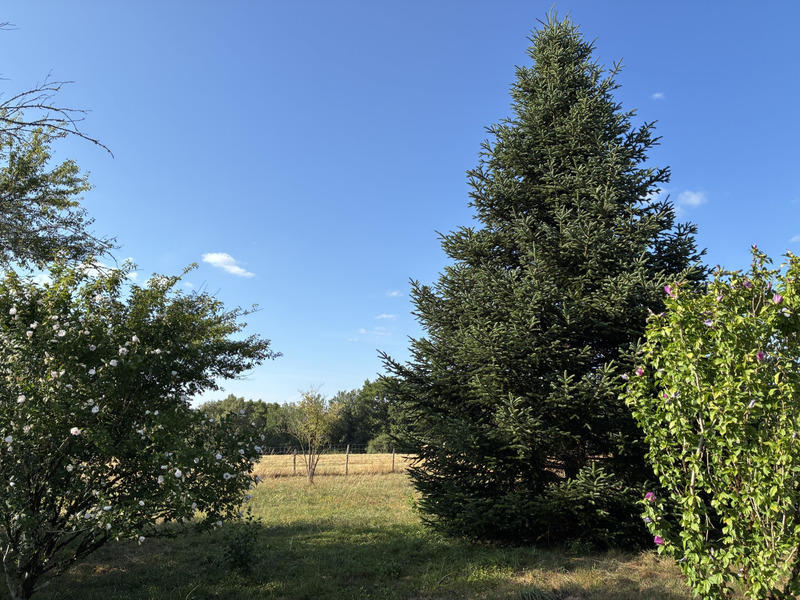 Terrain constructible - 1 842 m²