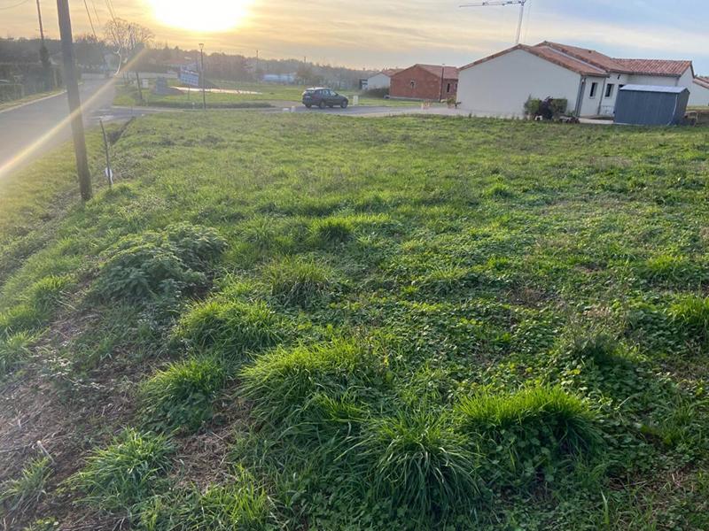 Terrain constructible - 732 m²