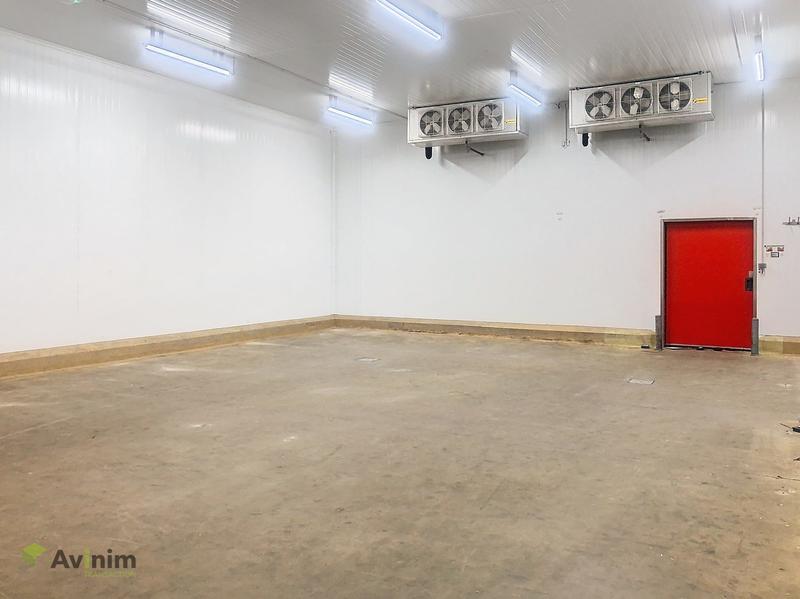 Local d'activités - 615 m²