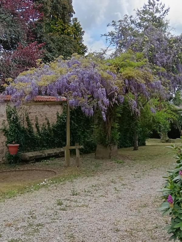 Demeure - 217 m² - 11 pièces