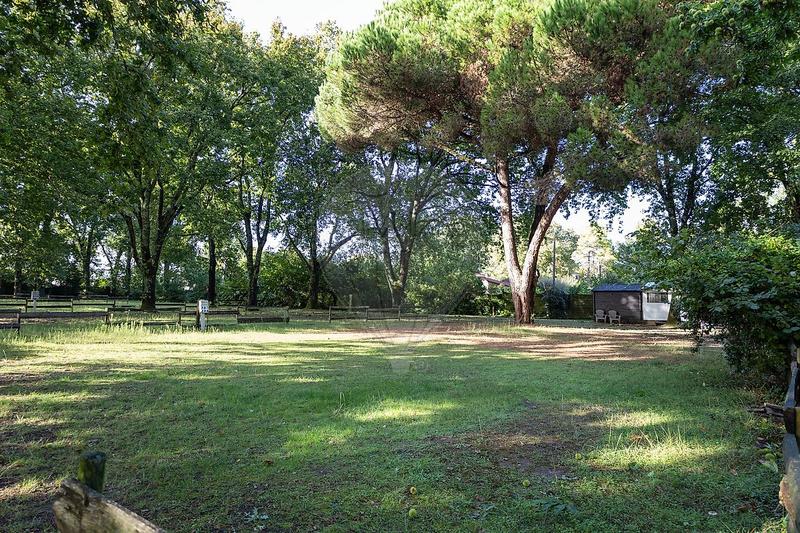 Terrain de loisirs - 6 000 m²