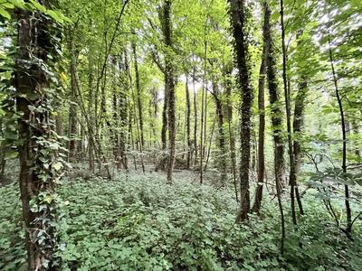 Terrain - 26 235 m²