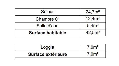 Appartement - 47 m² - 2 pièces