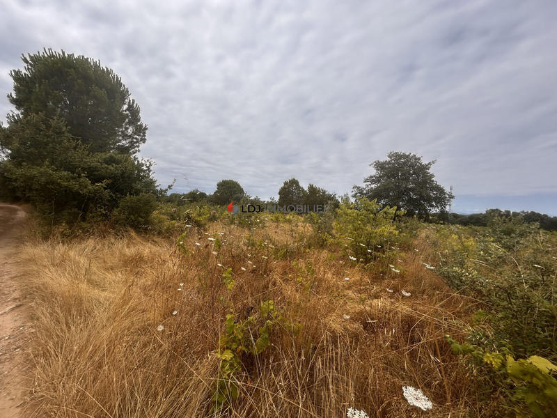 Terrain agricole - 5 000 m²