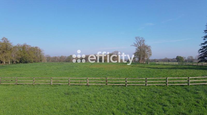 Maison de domaine équestre - 356 m² - 13 pièces